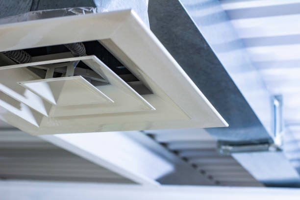 Best Professional Duct Cleaning Services  in Rushville, IN