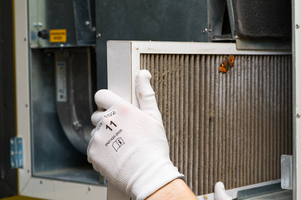 Best Affordable Duct Cleaning Services  in Rushville, IN
