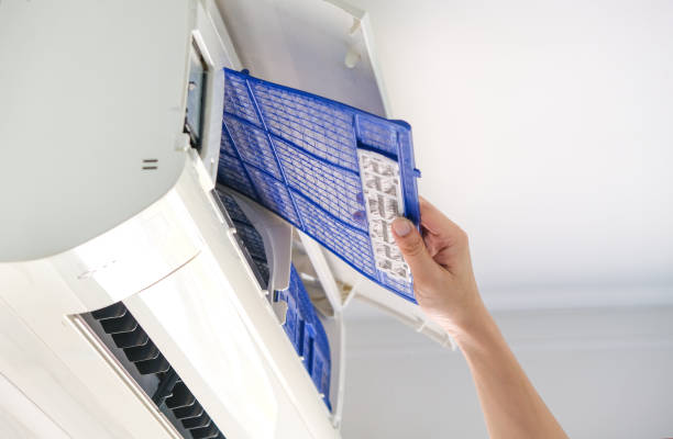 Best Air Vent Cleaning Services  in Rushville, IN