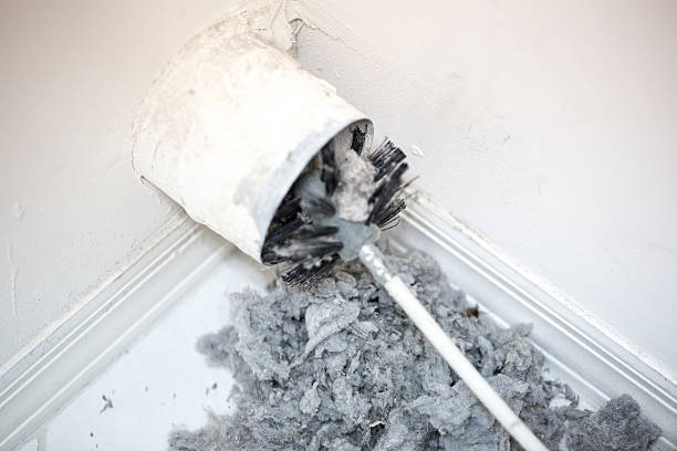 Best Ductwork Cleaning Services  in Rushville, IN